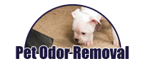 pet-odor-removal